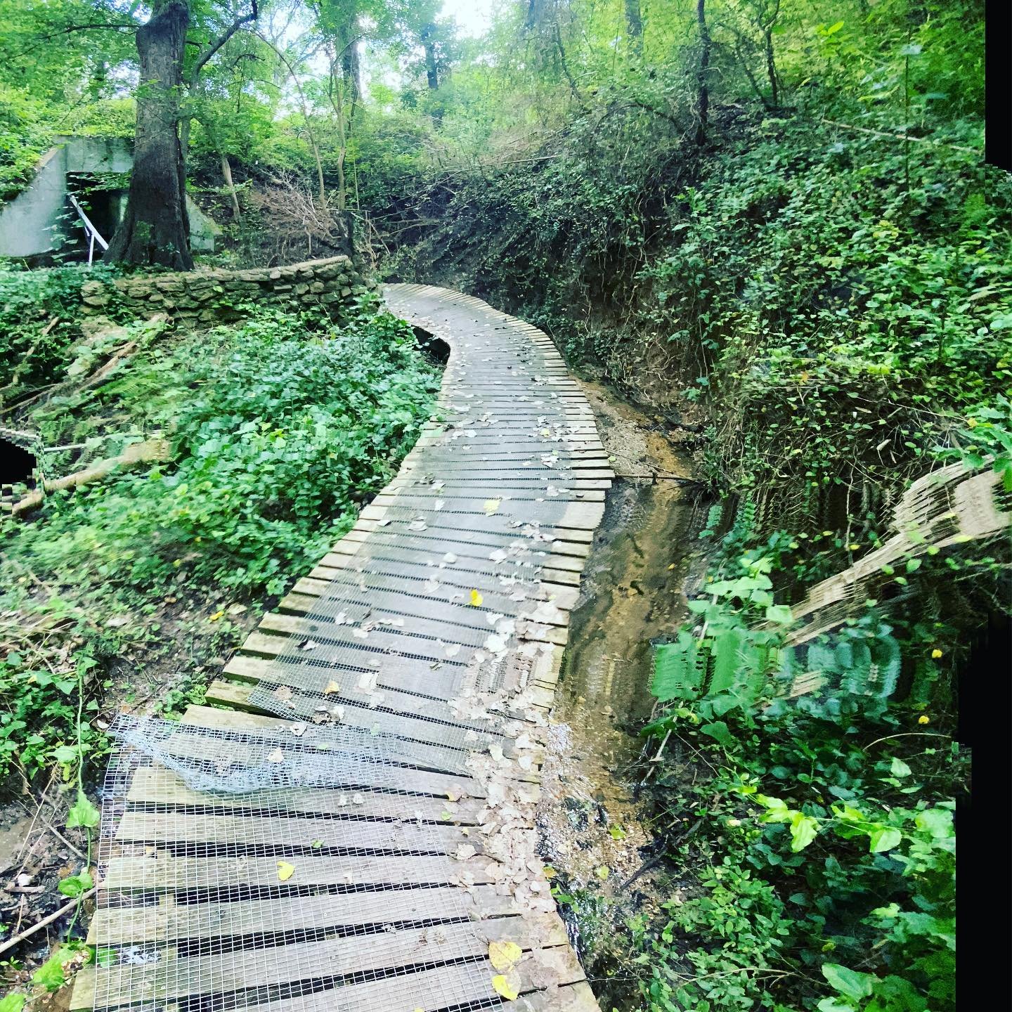 Cameron Park12