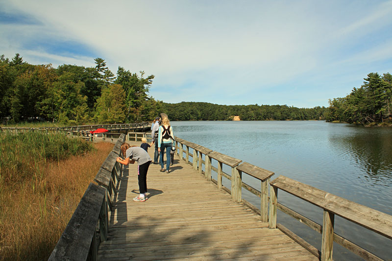 Lost Lake Pathway5