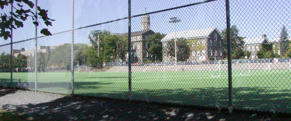 wickwirefield.jpg