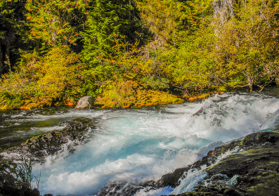 McKenzie River National Recreation Trail 2