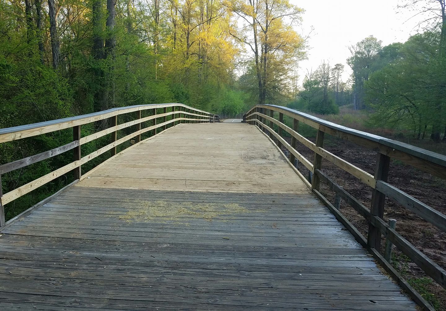 Big Creek Greenway Trailhead 1