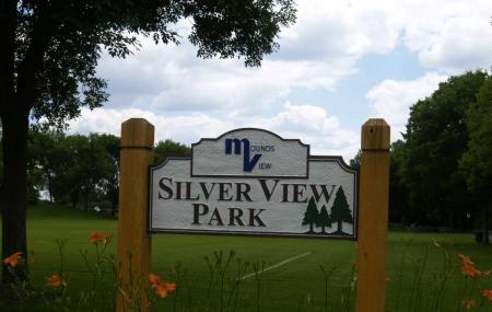 Silver 1