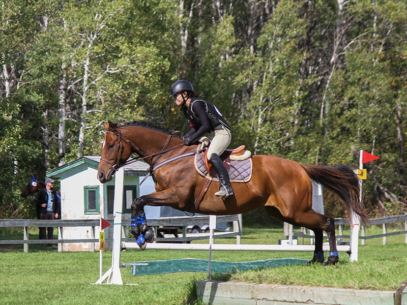 Manitoba Horse Council Equestrian Facility horses.jpg