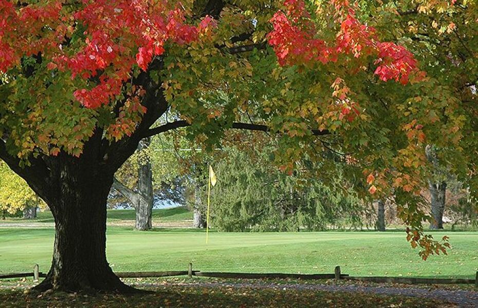AnyConv.com__Green Crest Golf Club 3
