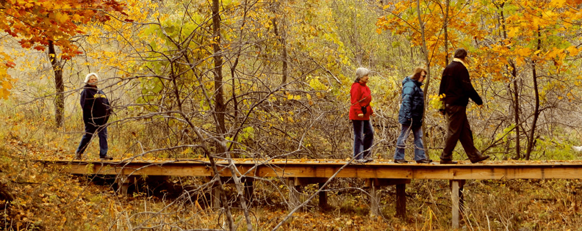 chippewa run natural area 3