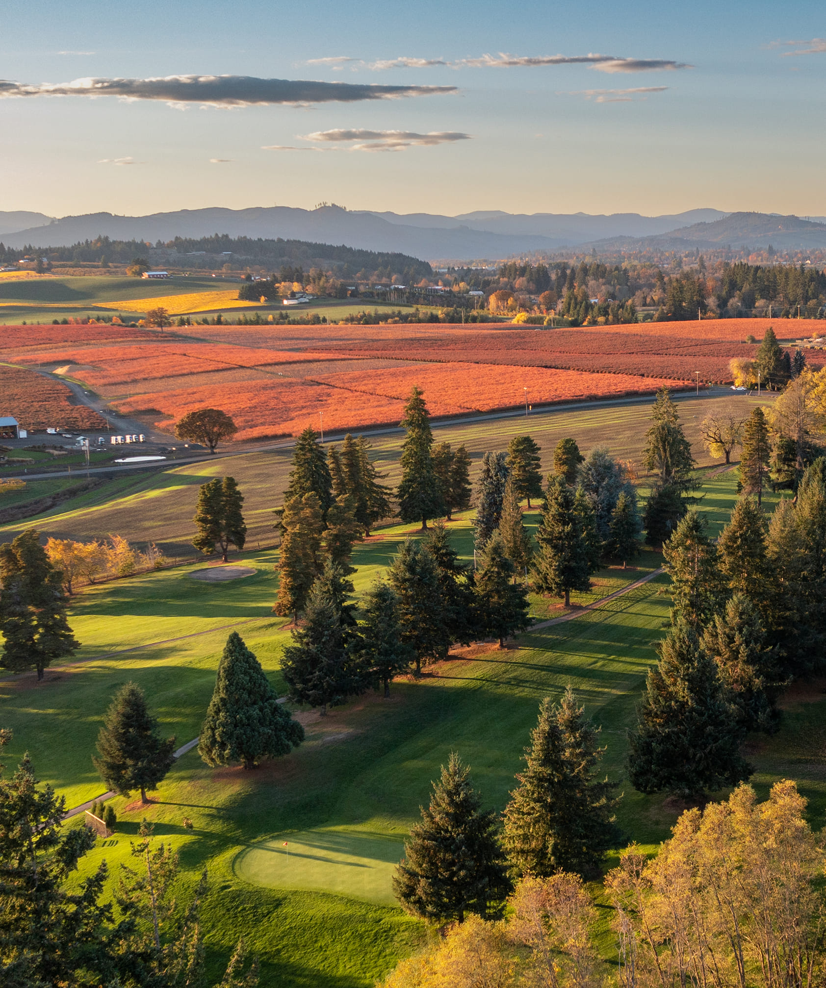 Forest Hills Golf Course3