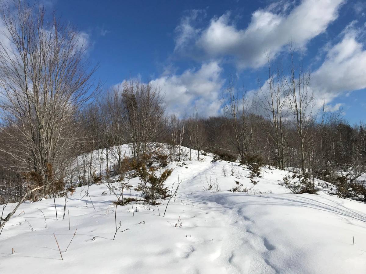 Houdek Dunes Natural Area