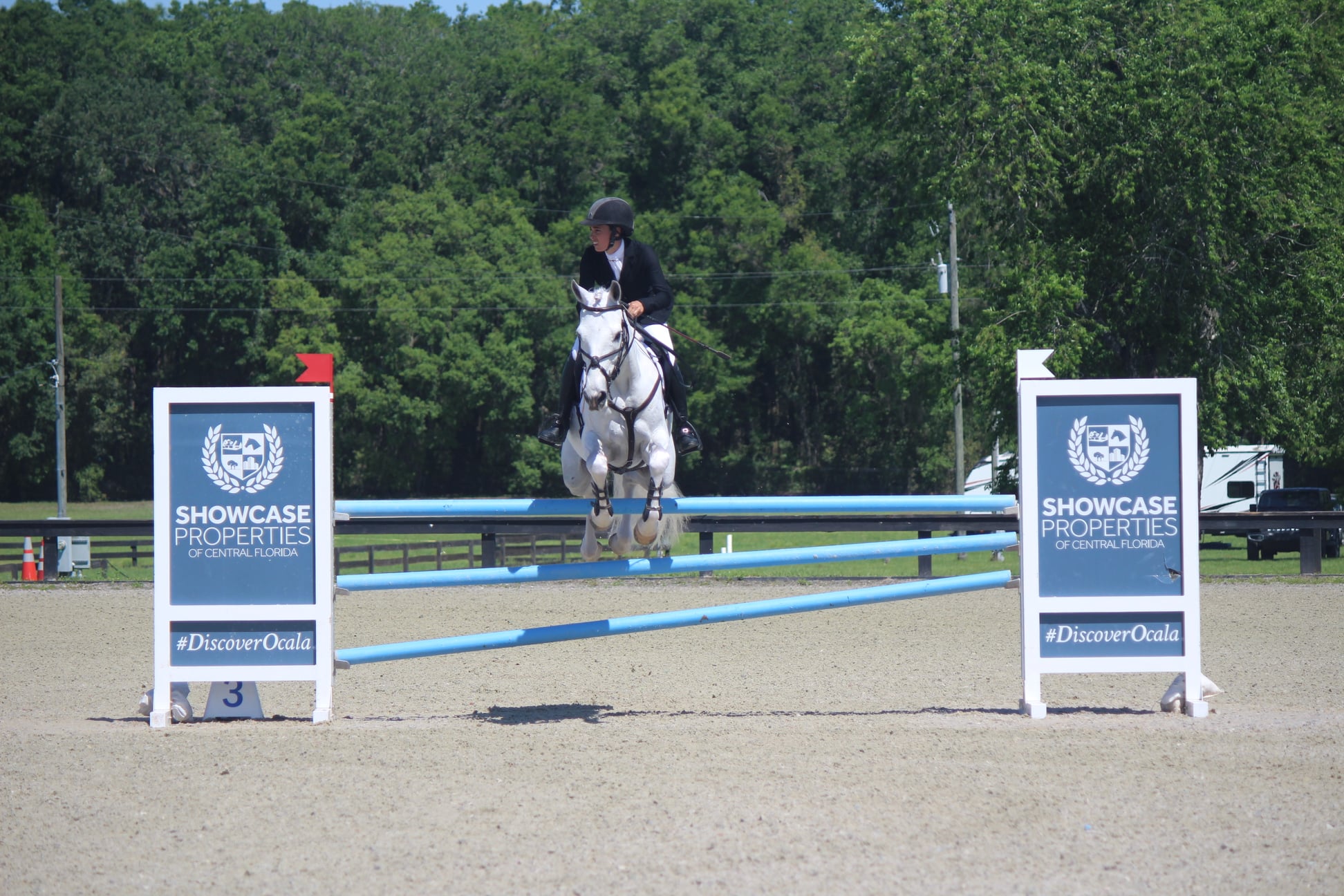 Florida Horse Park4
