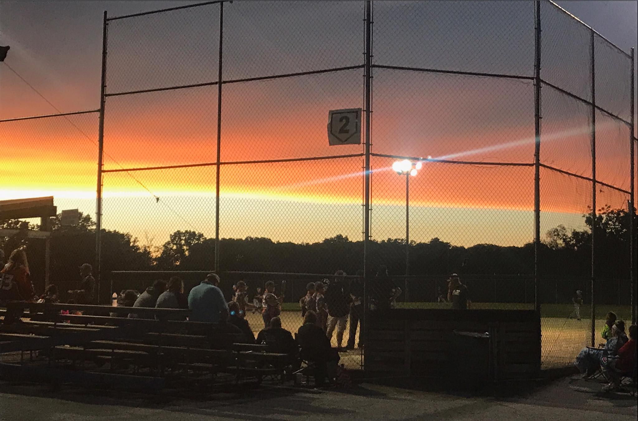 BC Baseball 5