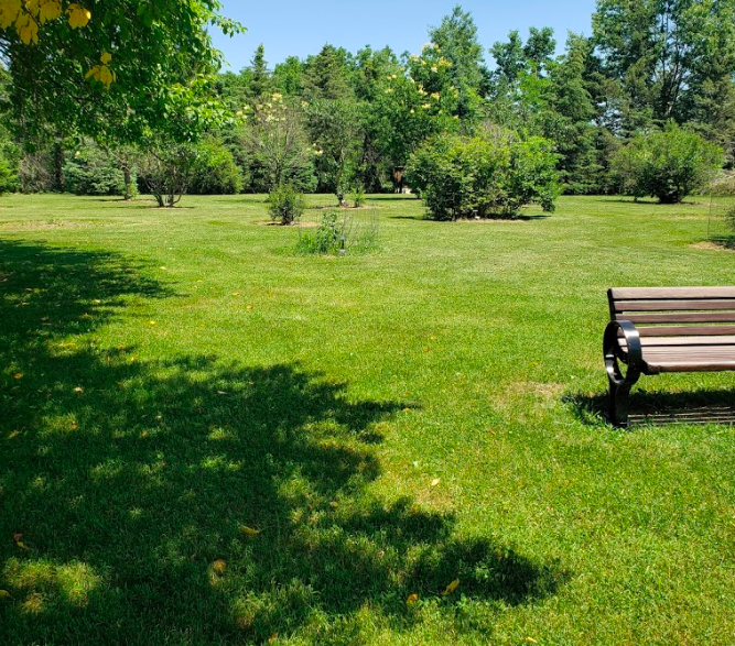 morgan creek park 3