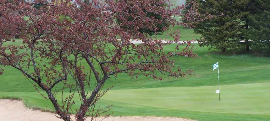 Elmbrook Golf Course 1
