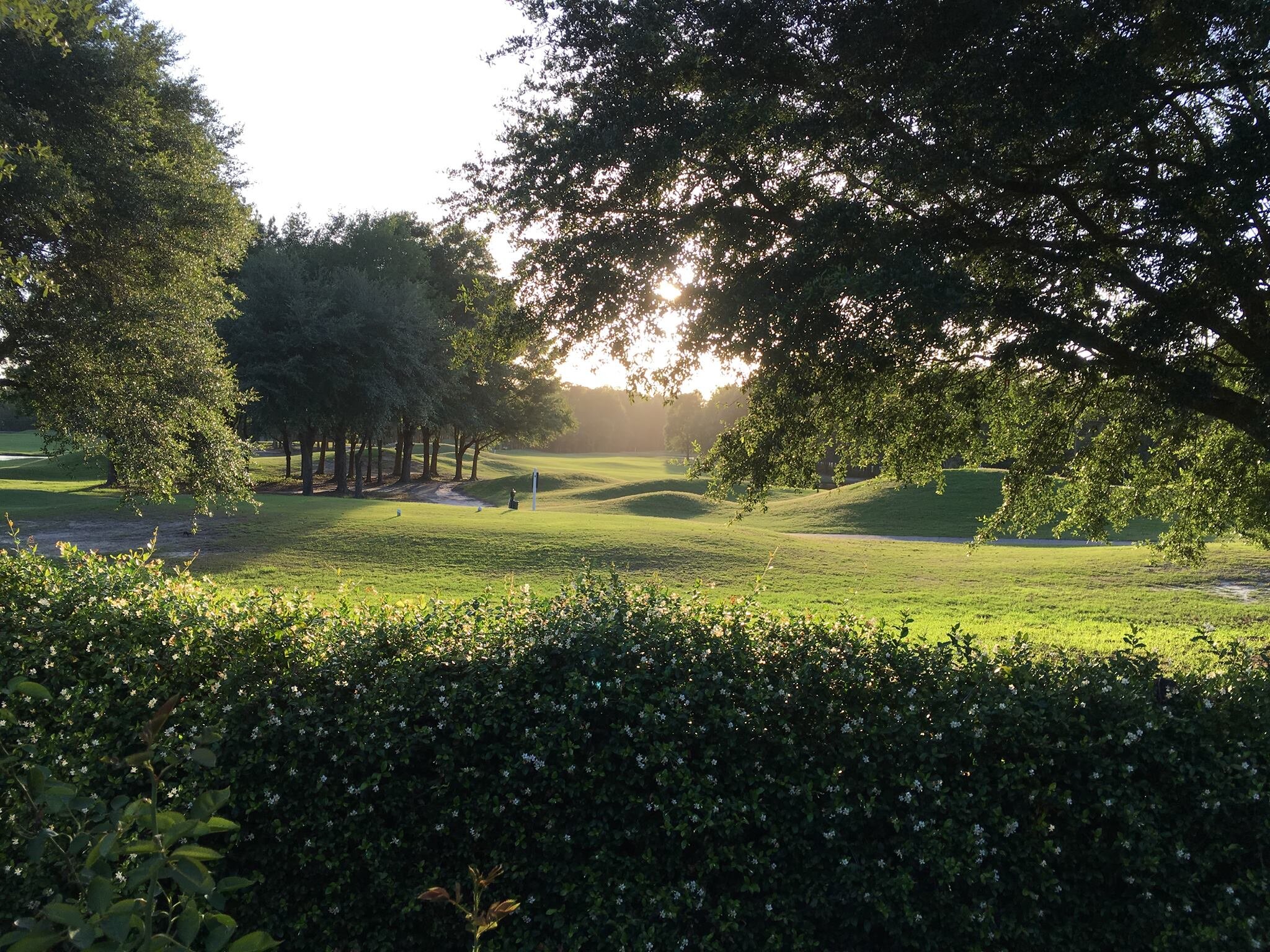 black creek golf club 2