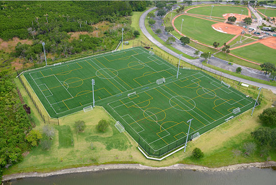 Mills turf