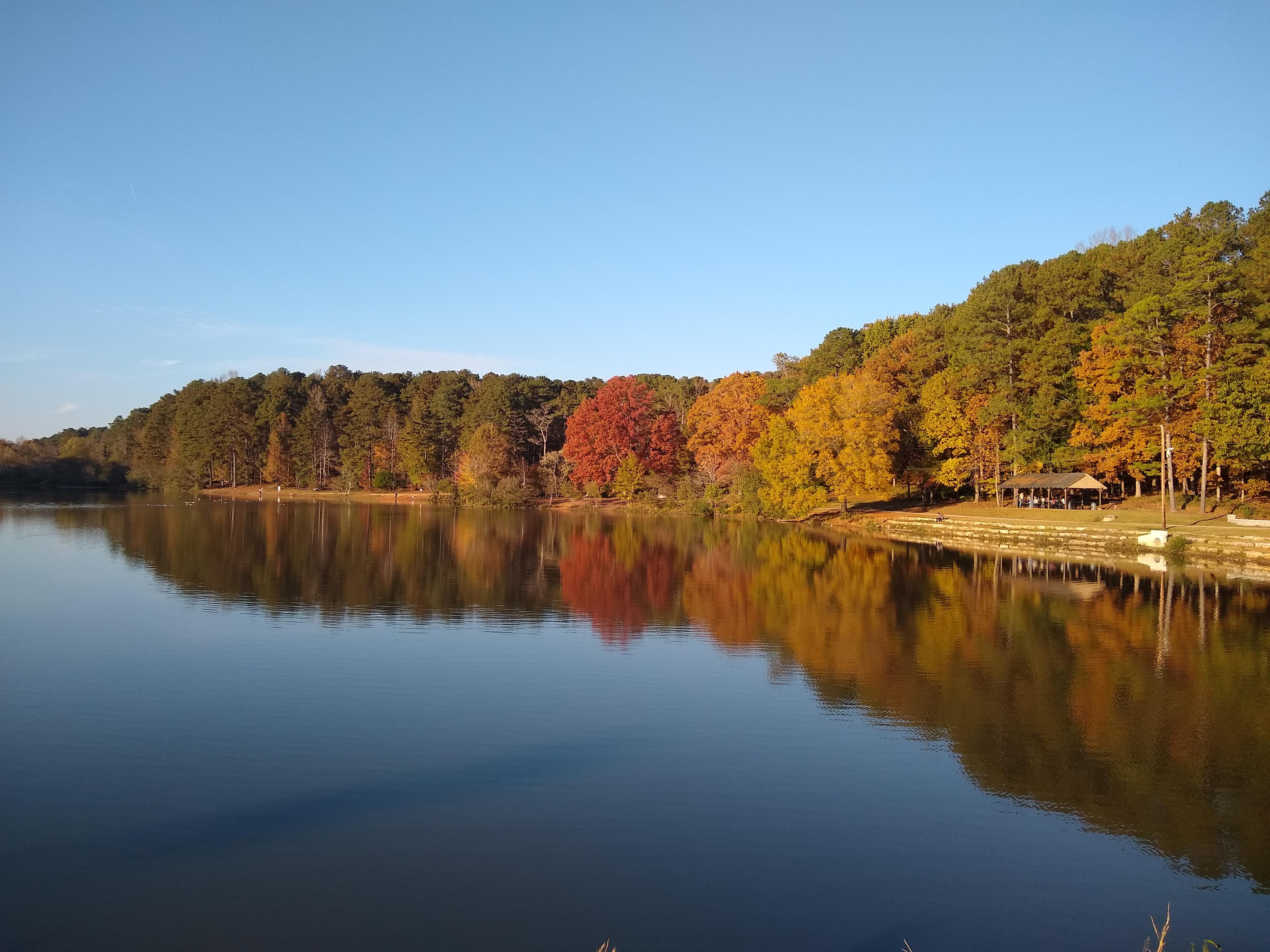 Murphey Candler Park 1