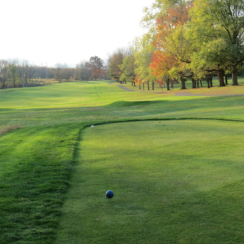 Twin Ponds Golf & Country Club4