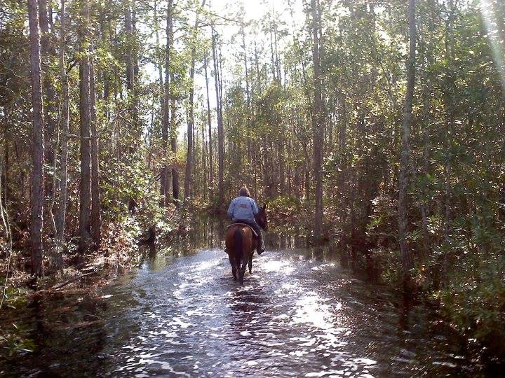 Makin' Tracks Trail Rides3