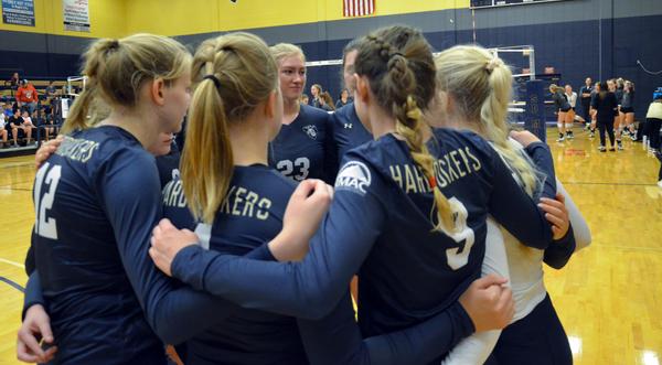 Volleyball team.jpg