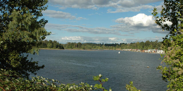 Willamette 1
