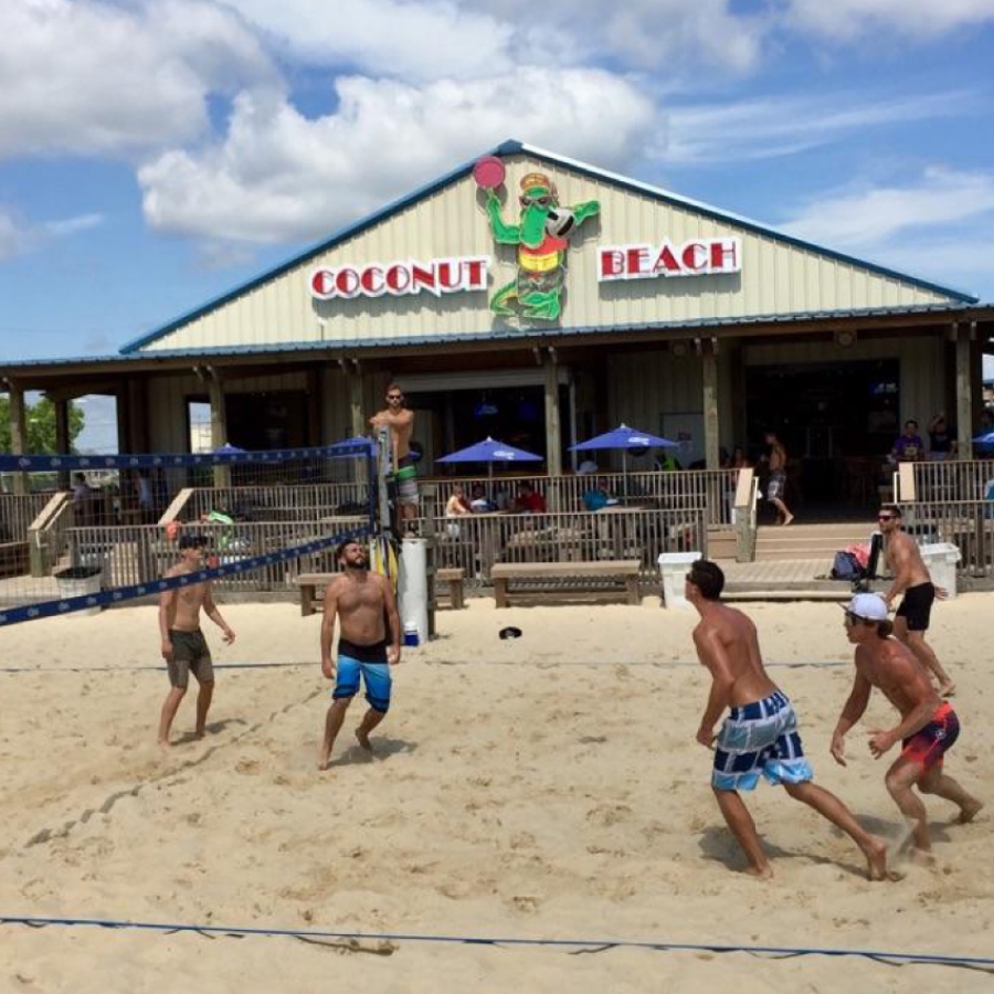 Coconut Beach.jpg