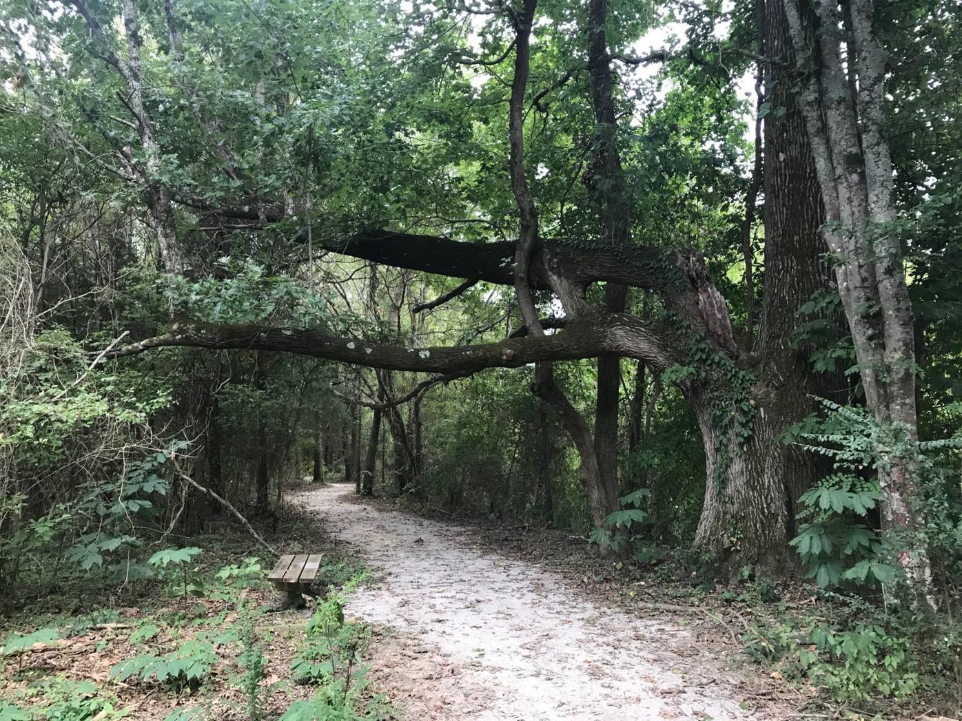 Music Bend Nature Trail 3