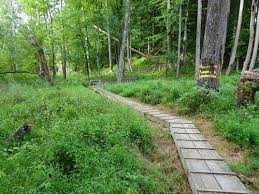 American Chestnut Land Trust- North Trail