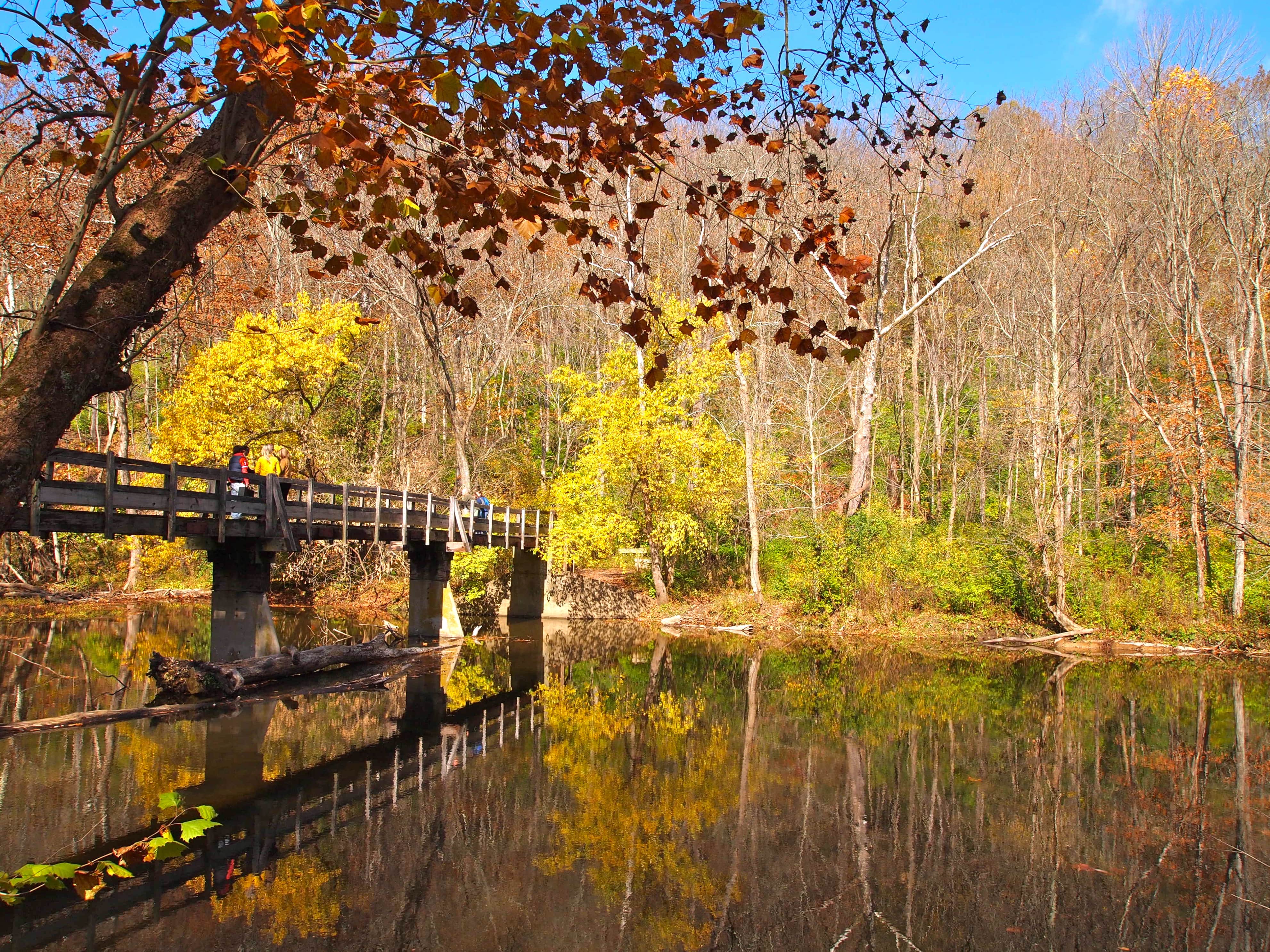 John Bryan State Park 3-min