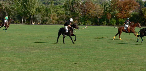 Brandywine Polo Fields & Club