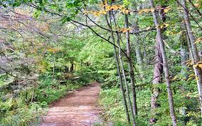 pigeon creek park