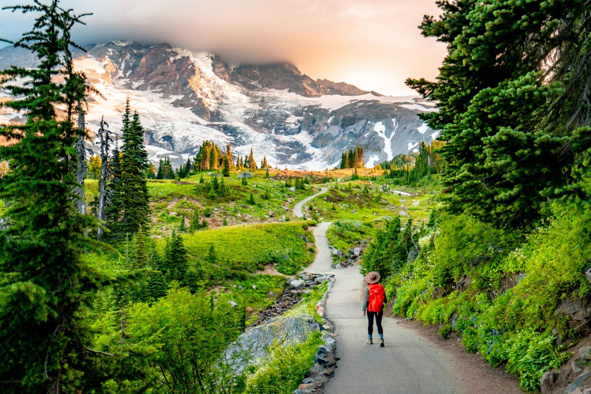 Mount Rainier National Park 2
