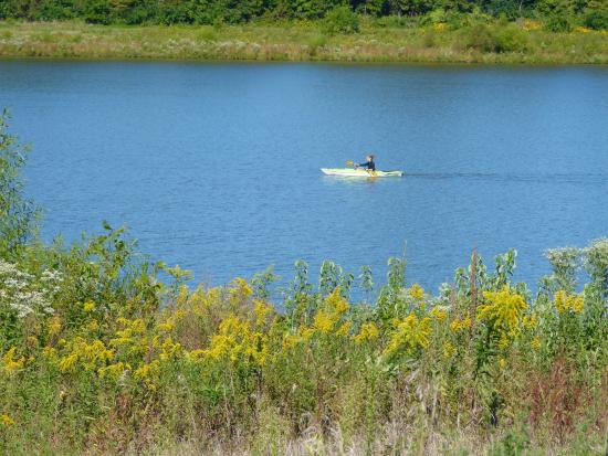 Terry Trueblood Recreation Area 3