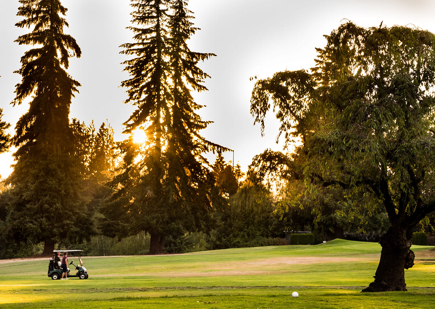 Forest Hills Golf Course6