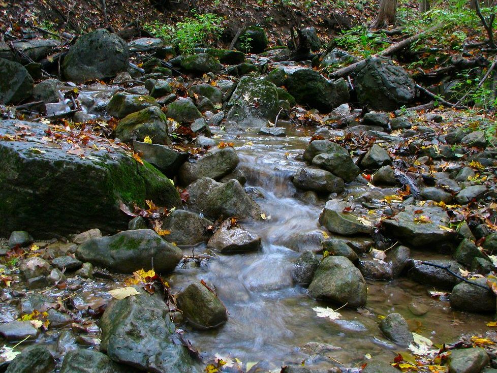 Baltimore Woods Nature Center 3