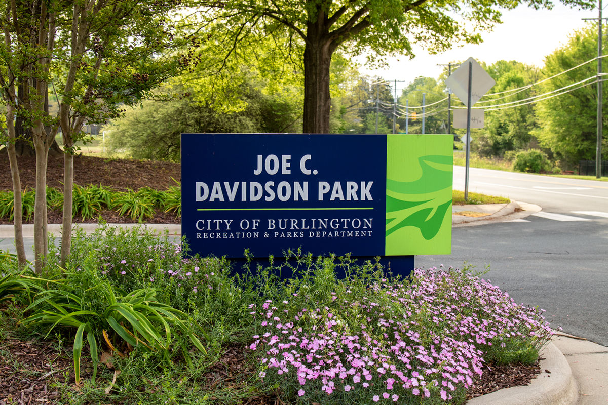 Davidson 2