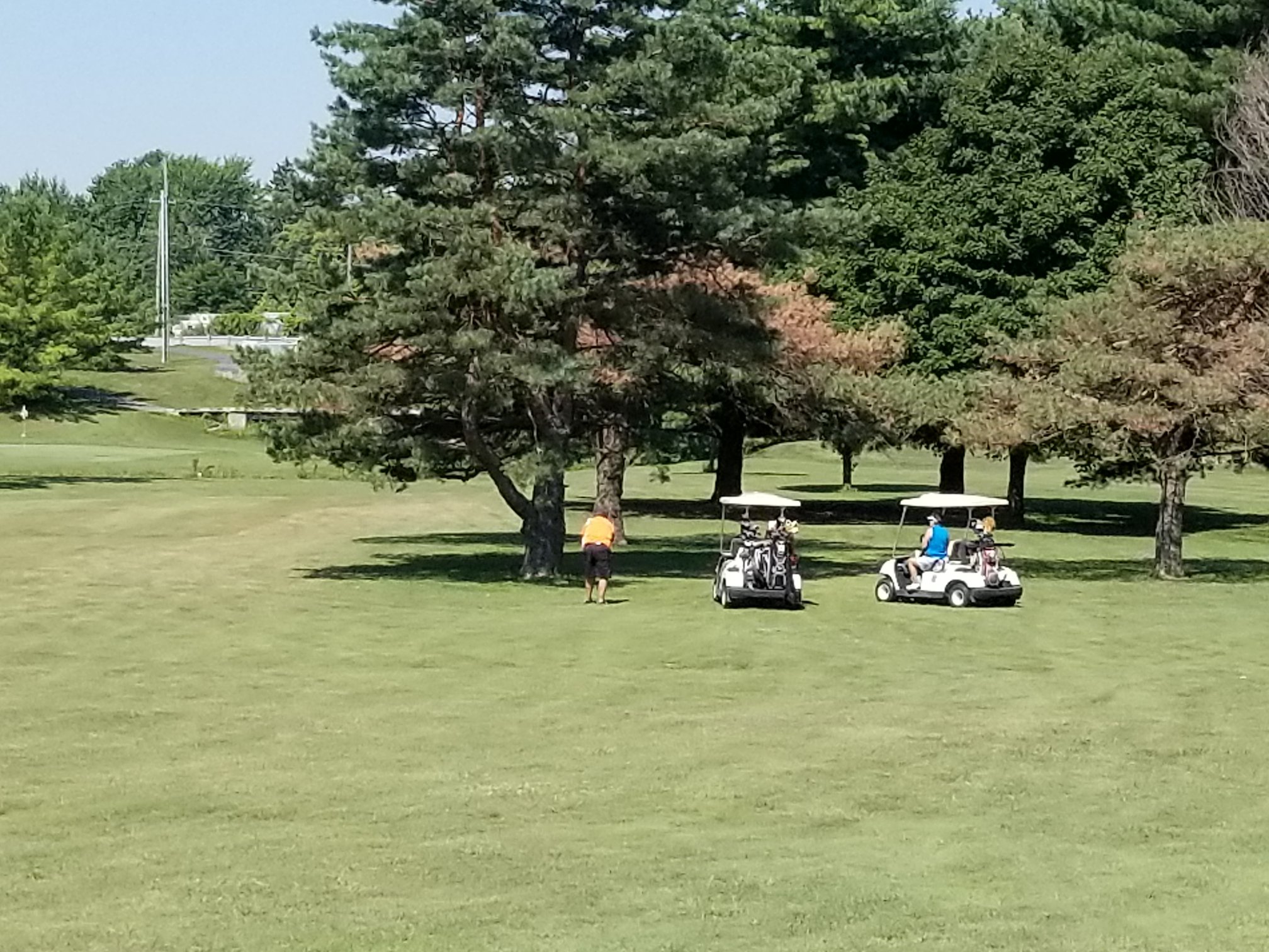 Springbrook Golf Club