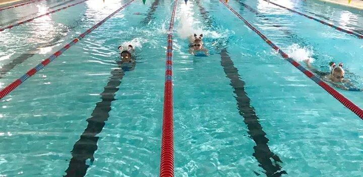 Southside Swim Club2