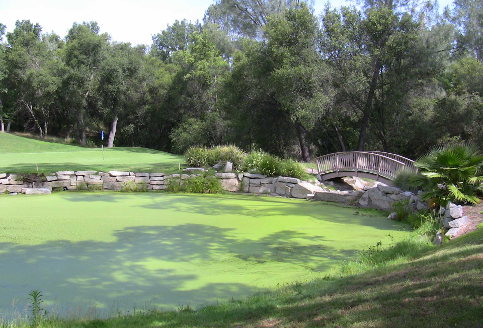 turkey creek golf center