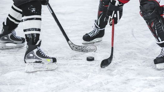 Holiday Twin Rinks 6
