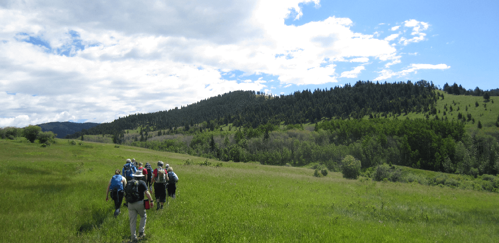 Whaleback Natural Area 6