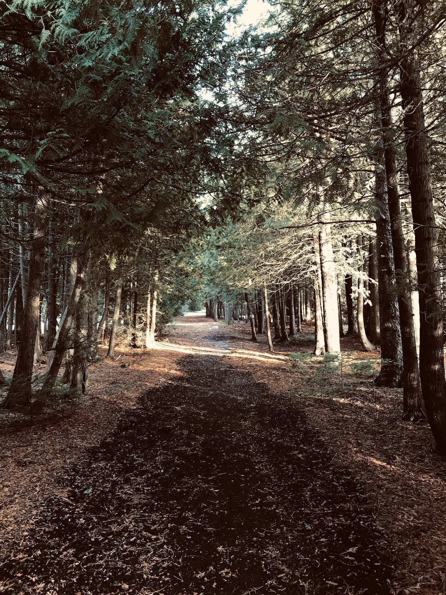 Harbor View Trail 6