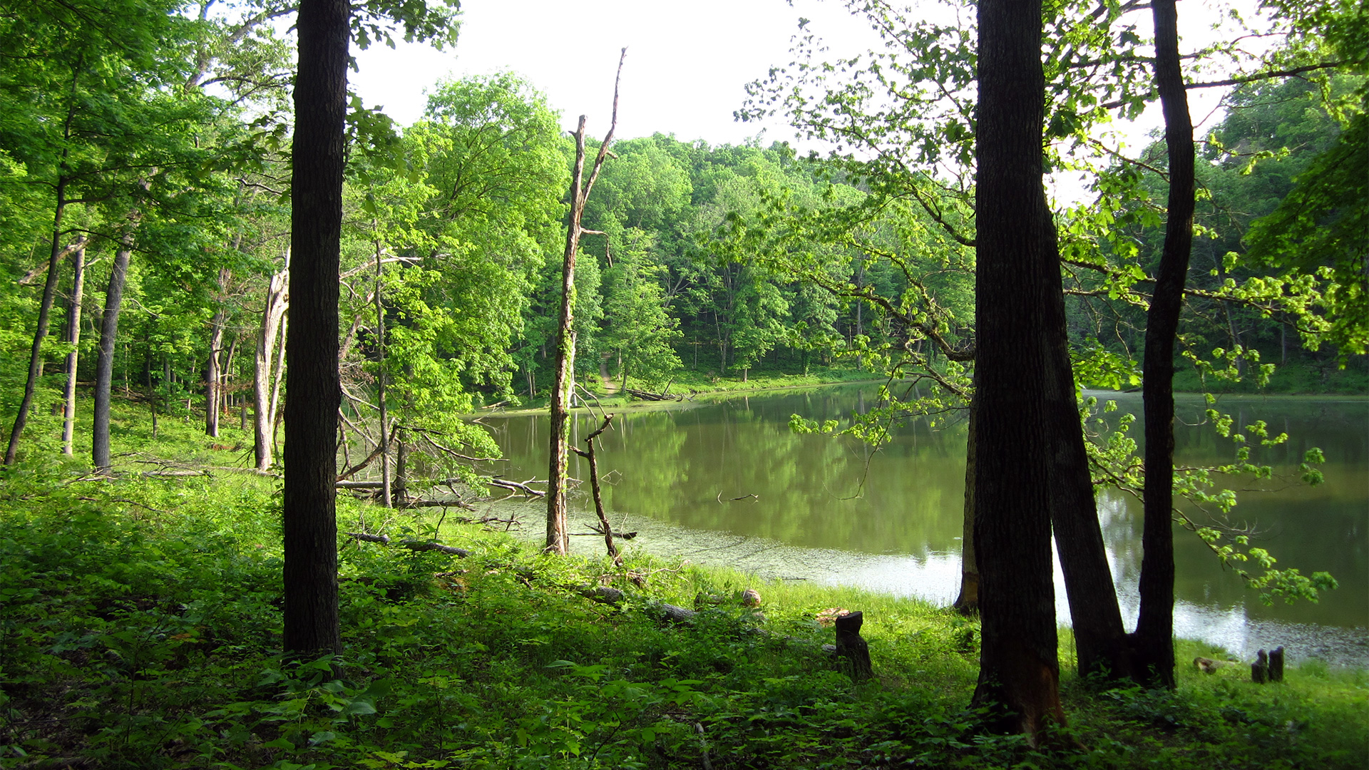 Miami Whitewater Forest 3