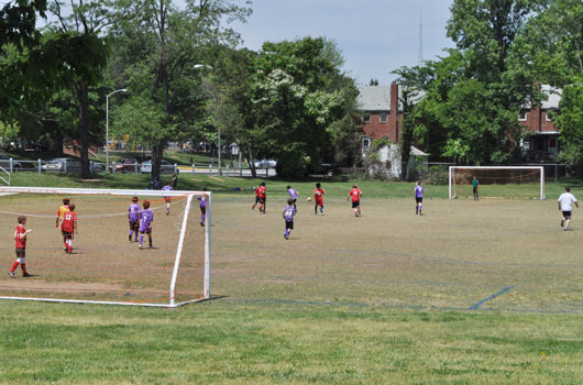 Lincoln Park 4