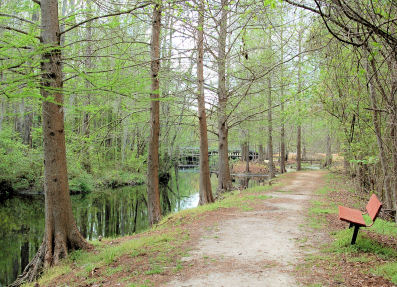 Jeffries Creek Park 2