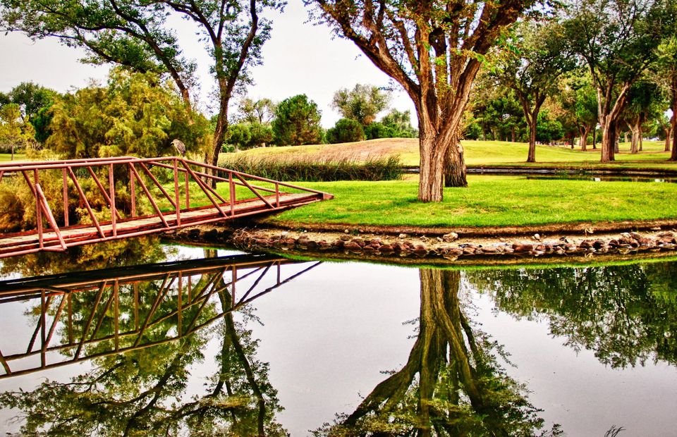 Odessa Country Club5