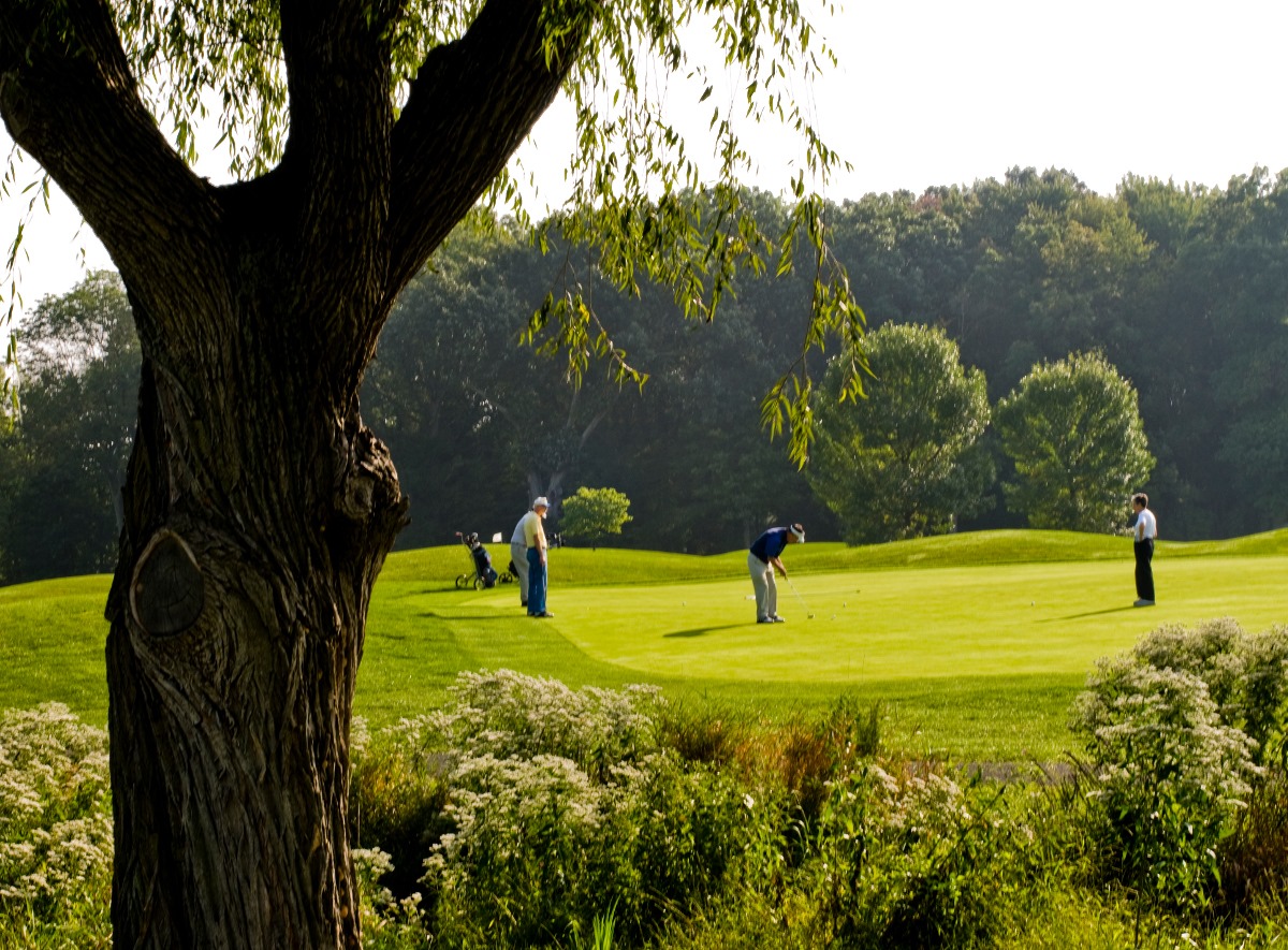 Robert A Black Golf Course1