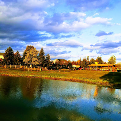 Reserves Park5