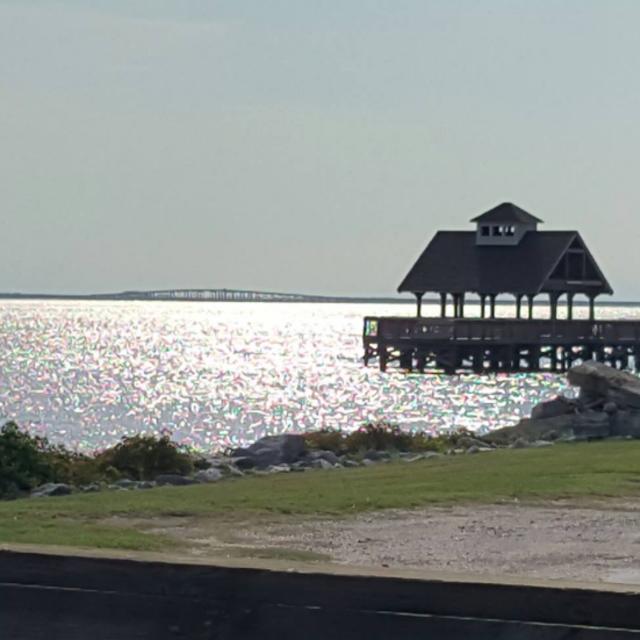 Manteo water hole.jpg