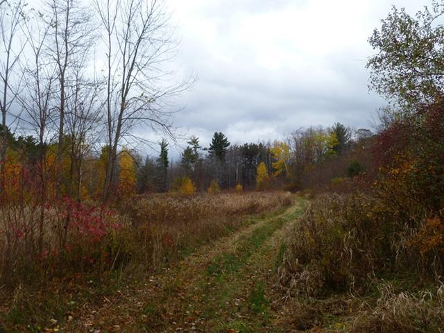 huyser farm park 2