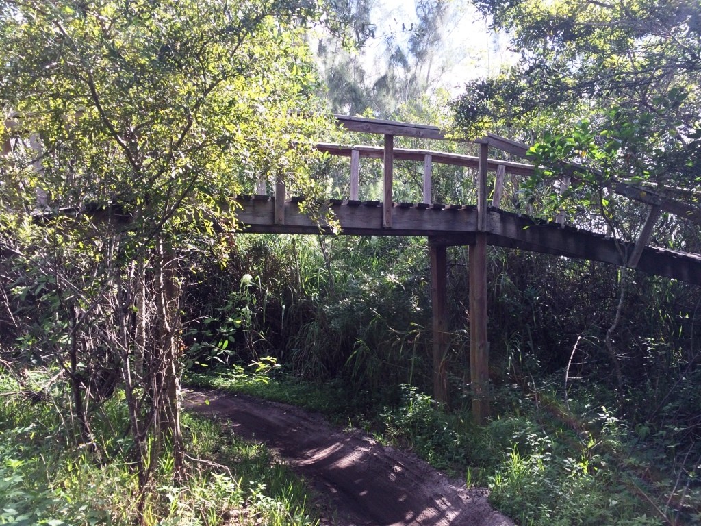 Markham park