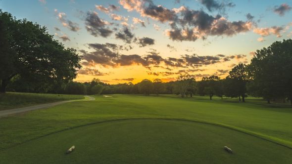 Sycamore putting