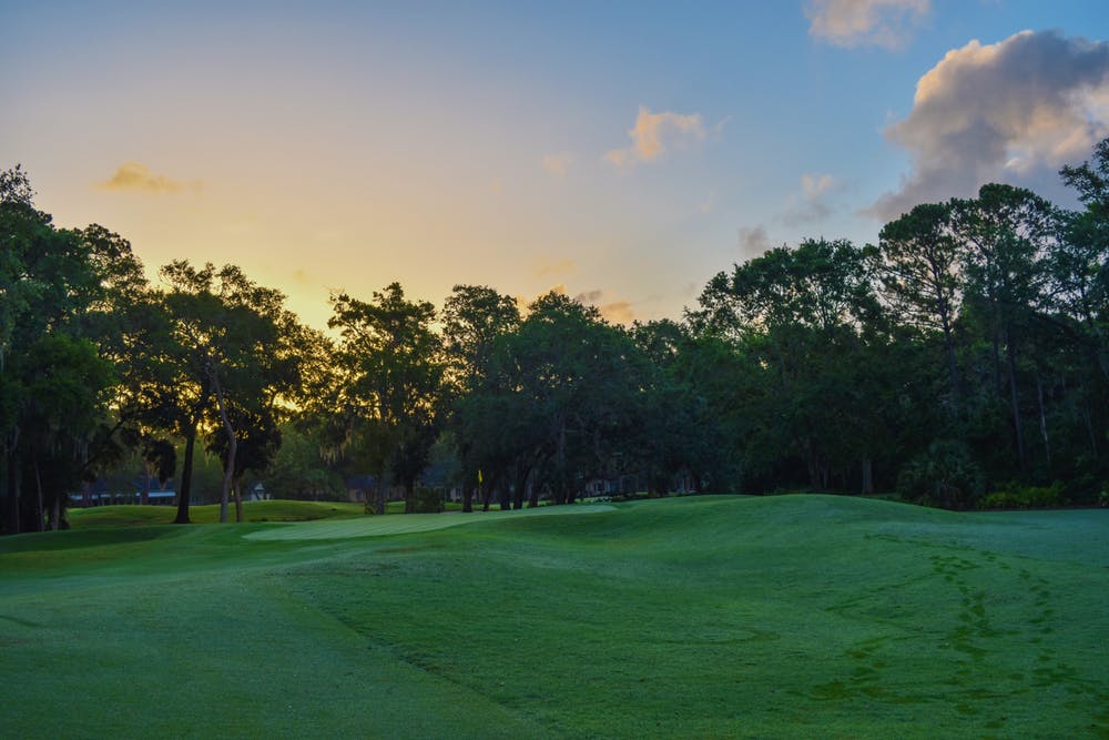 The Oaks Golf Course3